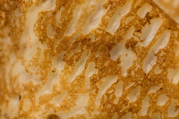 background of fried pancake
