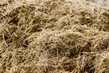 hay stack