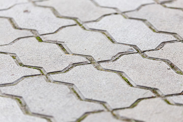 Obraz premium paving stones as a background. texture