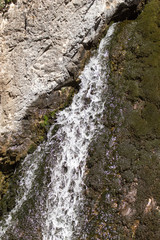 water from a spring in the mountains