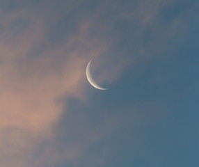 Obraz na płótnie Canvas the moon in the sky at dawn