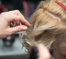 Fototapeta premium wrap curling hair in a beauty salon