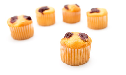 cupcake on a white background