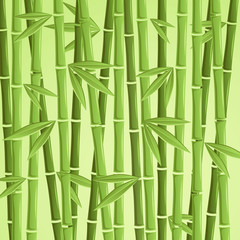 Fototapeta na wymiar Green bamboo vector illustration