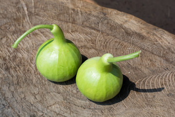 calabash on wood