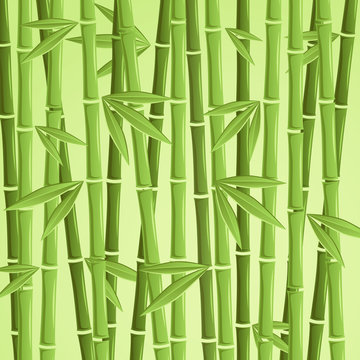 Green bamboo vector illustration © ba_lyasina