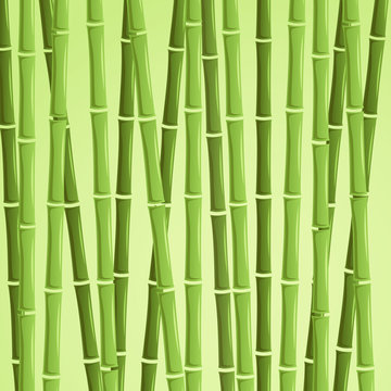 Green bamboo vector illustration
