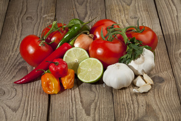 variety of mexican ingredients