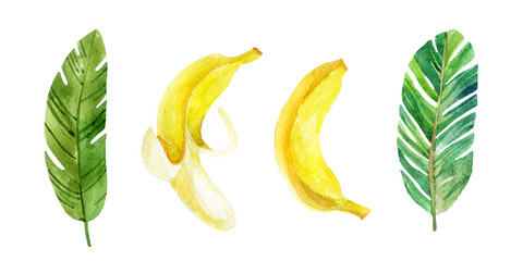 Banana leaves and fruits.