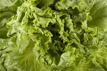 lettuce macro