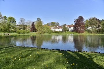 Fototapeta na wymiar L'étang Tenreuken en fin d'après midi au printemps à Watermael-Boitsfort