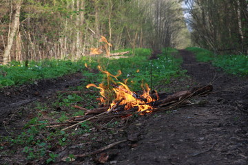 Костер на лесной дороге