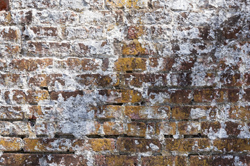 Weathered Brick Background