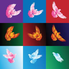 Fototapeta na wymiar A set of pigeons . The dove flies. Dove grey, white, blue, pink colors in the background