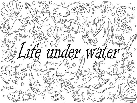 Life under water coloring book vector illustration