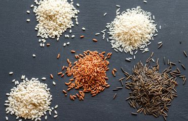 Different kinds of rice on the dark background