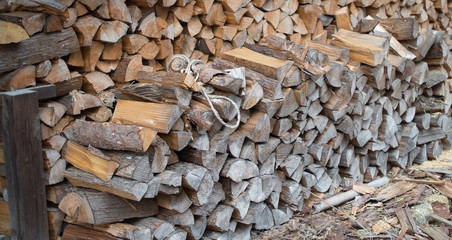 Dry chopped firewood logs in a pile