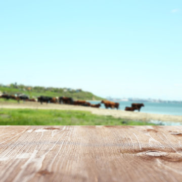 Wooden table on blurred nature background