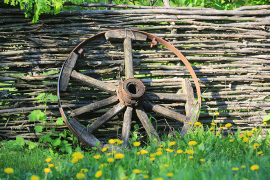 Old Brocken Wooden Carriage Wheel On Wattled Fence Background