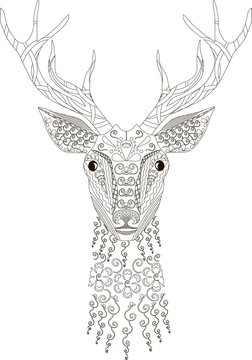 Zentangle stylized deer head, black and white, hand drawn, vector illustration