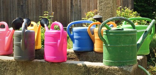bunte Giesskannen