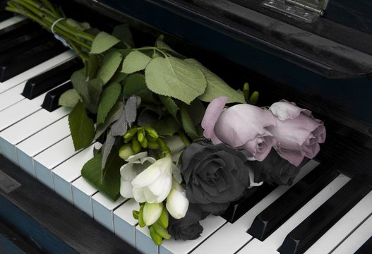 Fototapeta Condolence card - gray flowers on piano