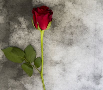 Condolence card - red rose on marble