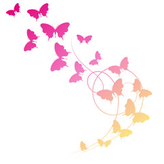 butterflies design