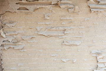 background old paper