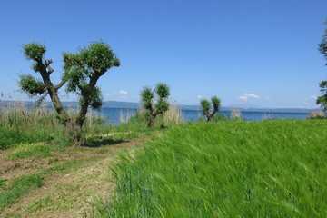 campagna sul lago