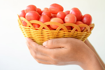 Tomatoes in hands