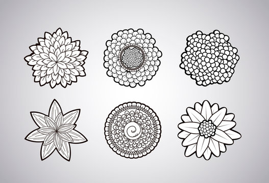 Vector black and white zendoodle tattoo floral lowers.