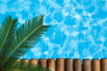 Summer vacation concept