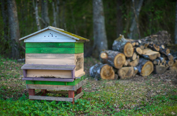 Beehives in the apiary. Beekeepers.