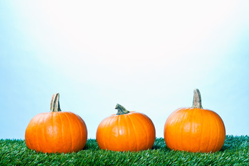 view of halloween pumpkins over grass.