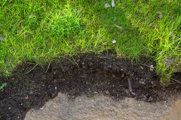 Gartenboden