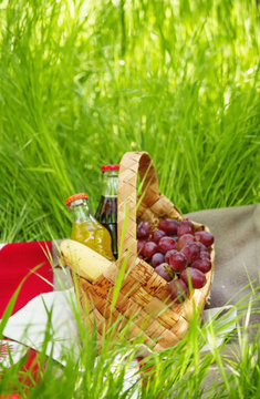 Picnic Basket with fruits and drinks on the meadow on a backgrou