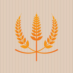 Wheat icon. grain design. Agriculture concept