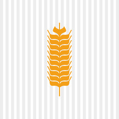 Wheat icon. grain design. Agriculture concept