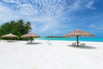 tropical beach