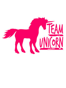 team unicorn party cool fun unicorn pink gay gay