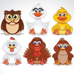 Set of Various Cartoon Birds. Vector