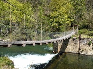  bridge in Irati Forest