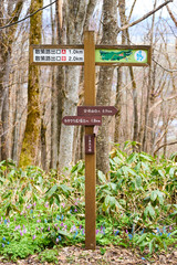突哨山の標識
