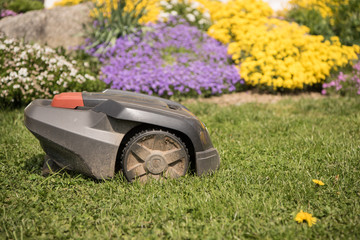 Mäh Roboter beim selbständigen Rasen mähen