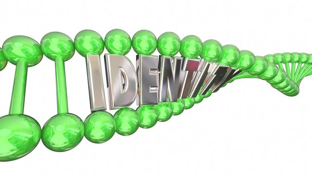 Identity DNA Word Self Internal Heredity 3d Illustration
