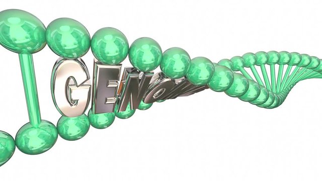 Genome 3d Illustration Word DNA Strand Genetics Heredity