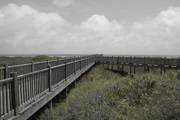 Boardwalk to the Beach