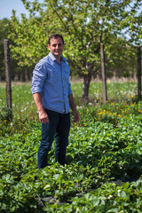 Farmer in strawberry field