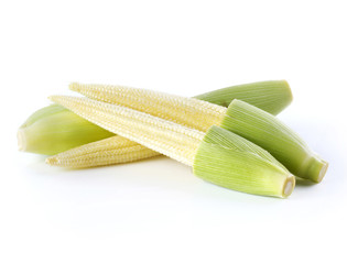 Young fresh corn isolated on white background